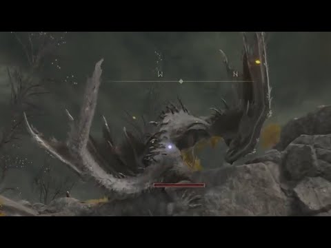 Elden Ring is a Polished Experience