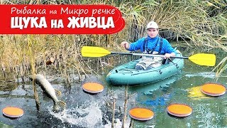 Ловля щуки на кружки в украине