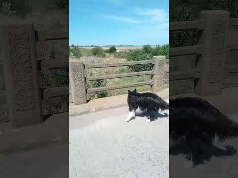 puente arroyo el toro con poca agua lobos bs as