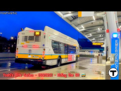 The Enchantment App | Yoshi's Ride Series {S9-E29} - Riding the 36 🚌 - {MBTA} | SPECIAL REQUEST