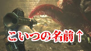 RAI-DENと行く！【ロケラン女のバイオハザードRE:3】Part.6
