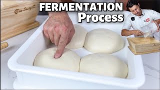 How to Manage The FERMENTATION Process of PIZZA DOUGH