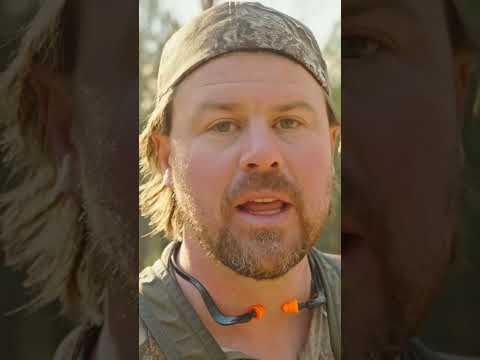 How Luke run's his hunting pointers.