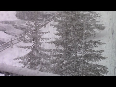 Snowstorm - Fort Wayne, IN 2-4-21