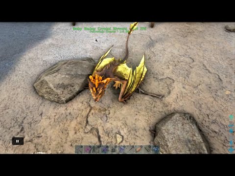 ARK: Survival Evolved Day 60 on Crystal Isles, a Baby Crystal Ember Wyvern.