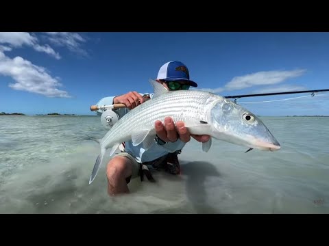 Bonefish 101 // How to Fly Fish for Bonefish