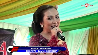 Download lagu PODANG KUNING Voc. MELANIE SALATIGA Campursari CANDRA PESONA JAKARTA mp3