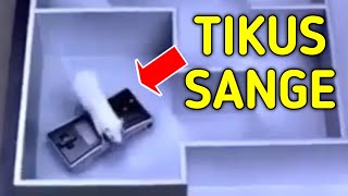 Download lagu IKLAN THAILAND NGAK PERNAH GAGAL LUCUNYA mp3 Download lagu IKLAN THAILAND NGAK PERNAH GAGAL LUCUNYA mp3