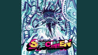 The Specimen