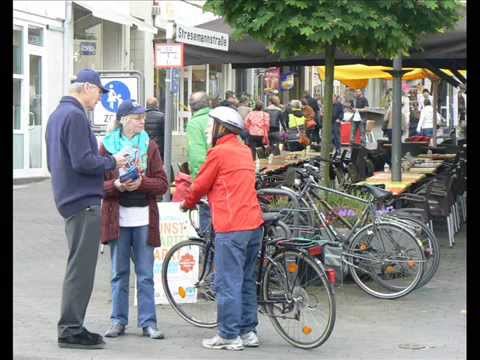 AfD Wetterau Europawahl 2014