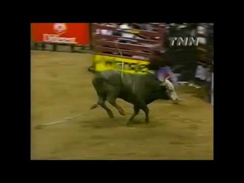 Trick Or Treat bucks Judd Mortensen - 00 PBR Phoenix