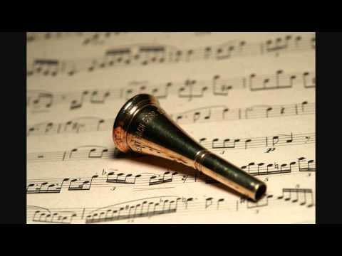 Peter Seabourne - Double concerto for horn and orchestra (world premiere performance)