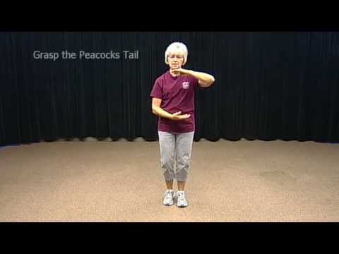 8-Form Tai Chi (Modified)