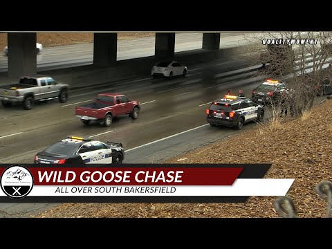 Wild Goose Chase, Pursuit |1-23-21|