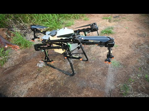 We used an agricultural drone to spray the scotch bonnet peppers.