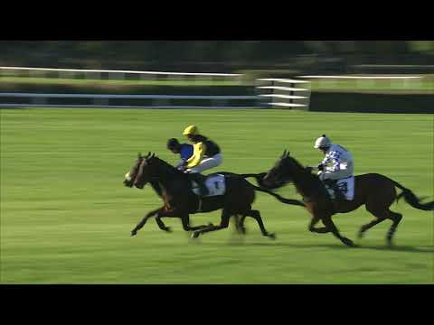 13. 10. 2019 - 7. dostih - Poplerův memoriál skupiny Profireal Group