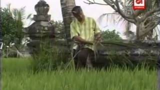 Download lagu Dadi Hati - Widi Widiana mp3