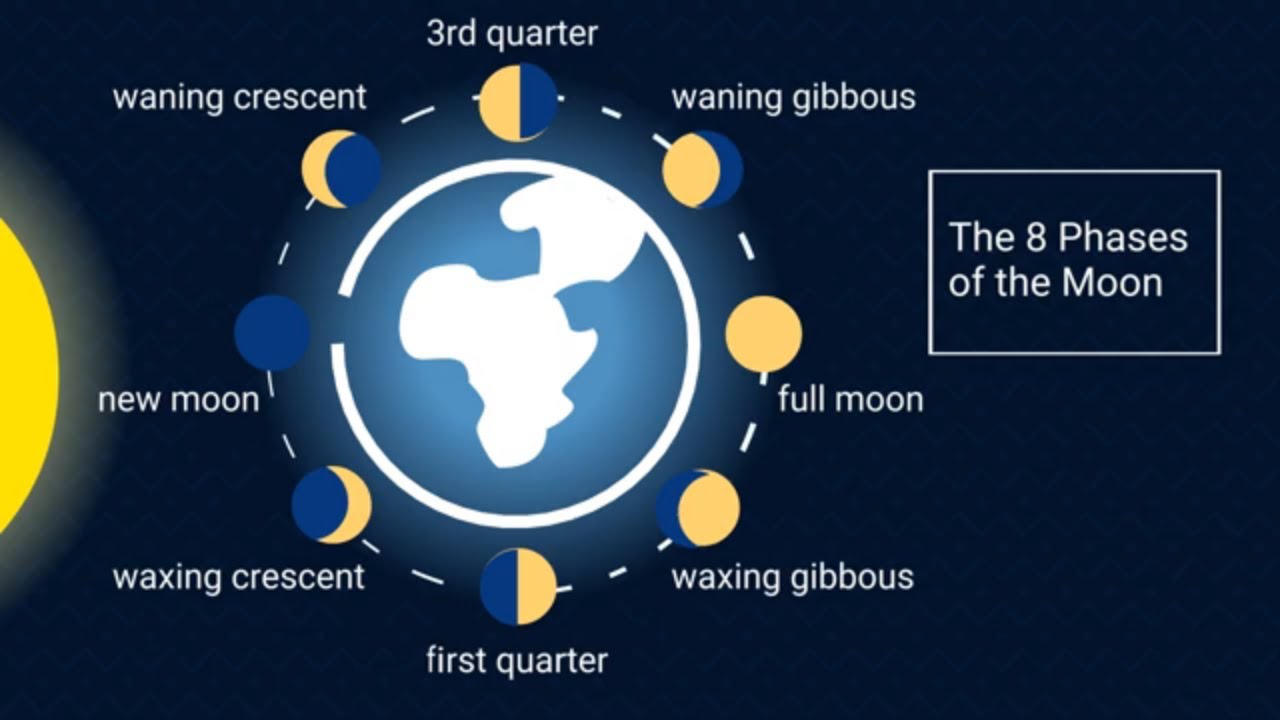 What are the 12 phases of the Moon in order?
