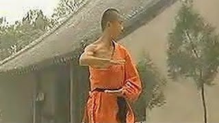 Shaolin big Buddha kung fu (luohan quan), simplified 1/2
