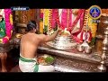 Thirupathi Perumal Unseen Pooja Very Rare Video