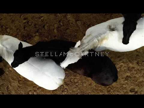 Stella McCartney  Winter 2026 Runway Show