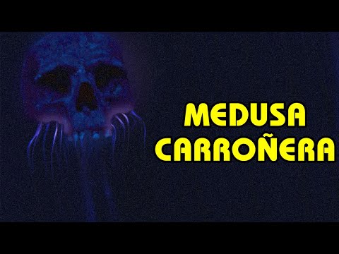 SCP-ES-266: Medusa Carroñera