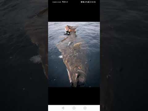 DJ PETE BRAMBLE BOM FUNK MC VS EMINEM SUPERMAN MASHUP NOV 2025 