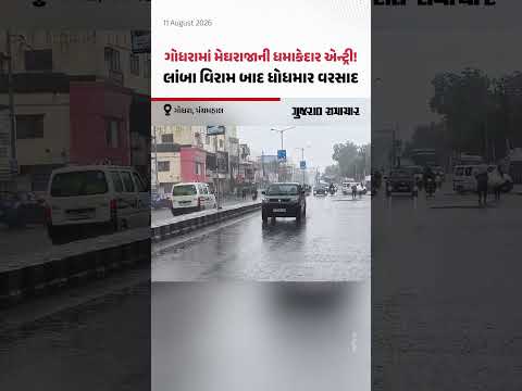 Godhraમાં મેઘરાજાની ધમાકેદાર એન્ટ્રી! લાંબા વિરામ બાદ ધોધમાર વરસાદ Godhraમાં મેઘરાજાની ધમાકેદાર એન્ટ્રી! લાંબા વિરામ બાદ ધોધમાર વરસાદ