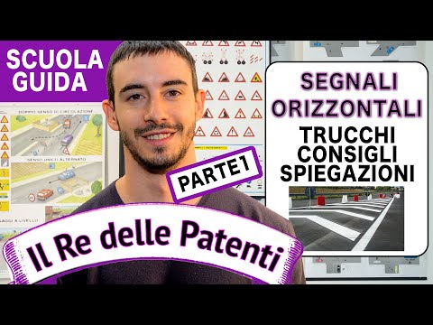 HORIZONTAL SIGNALS pt 1 - THE KING OF DRIVING LICENCES - DRIVING LICENCE B