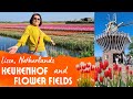 TULIPS KEUKENHOF Garden And FLOWERS Fields In LISSE NETHERLANDS 4K Travel Netherlands Keukenhof
