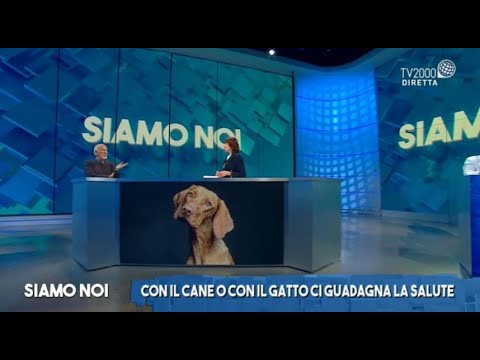 Siamo Noi, 26 ottobre 2021 - Pet therapy, quando gli animali fanno la differenza