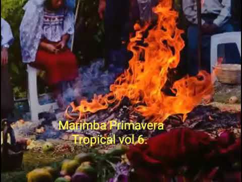 Primavera tropical...si el tiempo volviera.Vol 6.