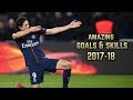 Edinson Cavani 2017-18  | Amazing Goals & Skills