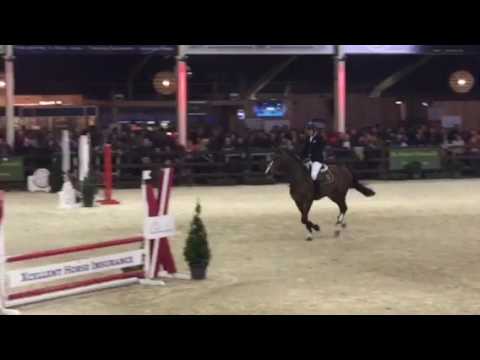 Stallion Competition 4YH Lier January 2017