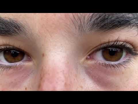 THE DAK AND DON MOVIE: OFFICIAL TRAILER