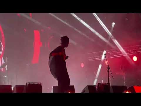 Wicked Dub Division - Mama / ORF 2022