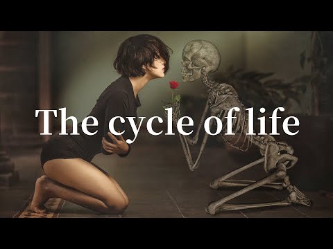 The Cycle of Life | Don't Waste Your Time | Death Quotes