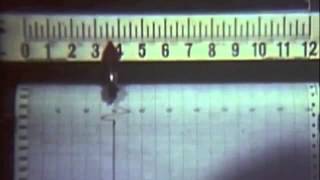 The Paranoid Style - Everybody wants to get to Heaven (but no one wants to die)