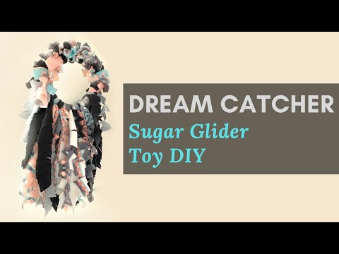 Dream Catcher Sugar Glider DIY Toy