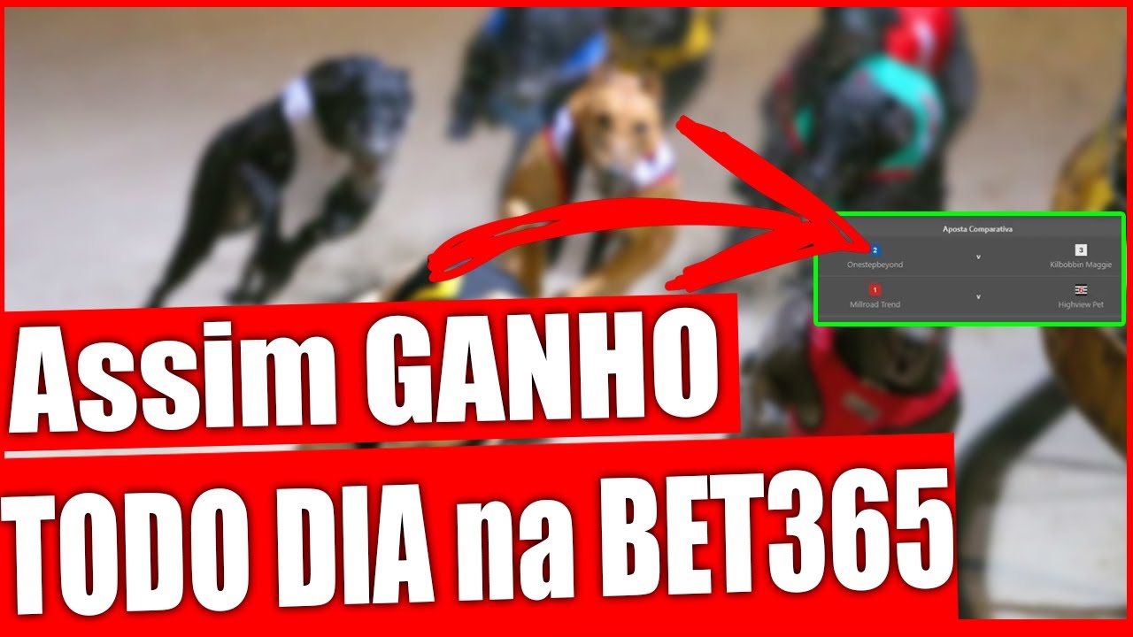 BET365 - MÉTODO INCRÍVEL para GANHAR TODO DIA na CORRIDA de GALGOS