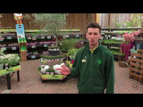More Plants Arrive @ The Old Railway Line
