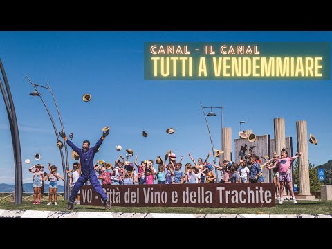 TUTTI A VENDEMMIARE - PARODIA DI KARAOKE (Amoroso e Boomdabash)