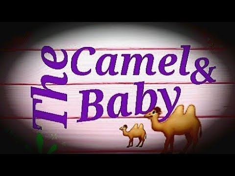 THECAMEL& THE BABY | ENG Language Resource | STORYTELLING | @easyenglishwithjayasaju