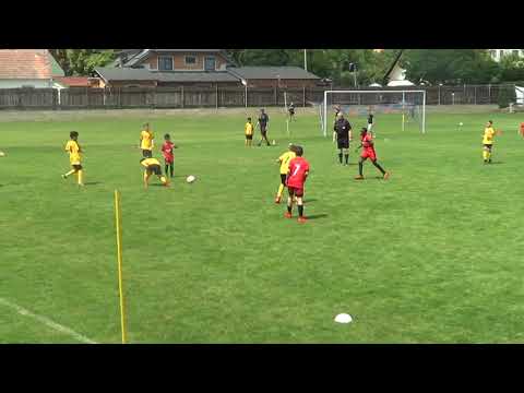 Spiel gegen Wr Viktoria - 26.5.2018