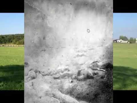 The Harvest of Death