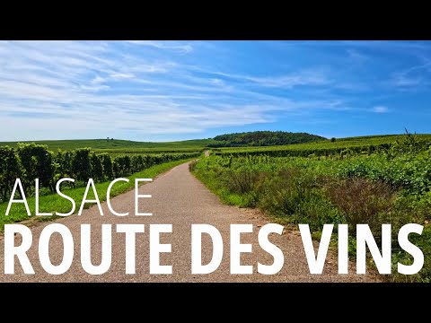 Route des vins d'Alsace - Incredible Cycling Route through the Heart of French Wine Country!