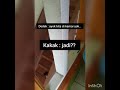 TANTE TERLALU