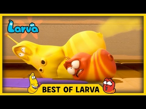 LARVA | BEST OF LARVA | Funny Cartoons | Cartoons | Comics | LARVA 2017 | WEEK 13