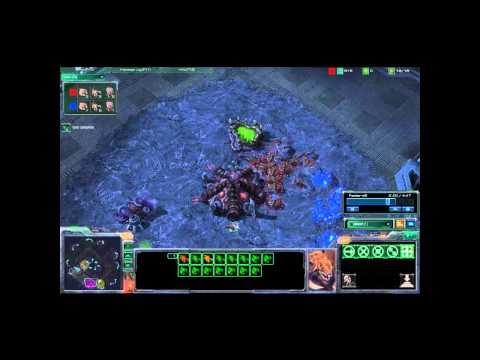 Failed Zerg rush