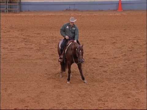 Smart Spook Futurity Run